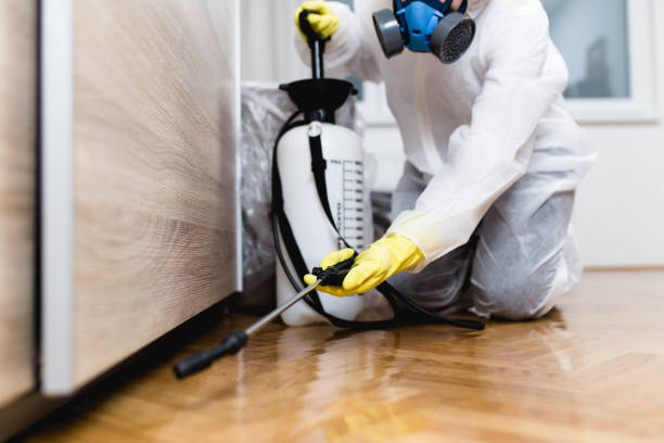Best Commercial Pest Control Services  in Holiday Heights, NJ