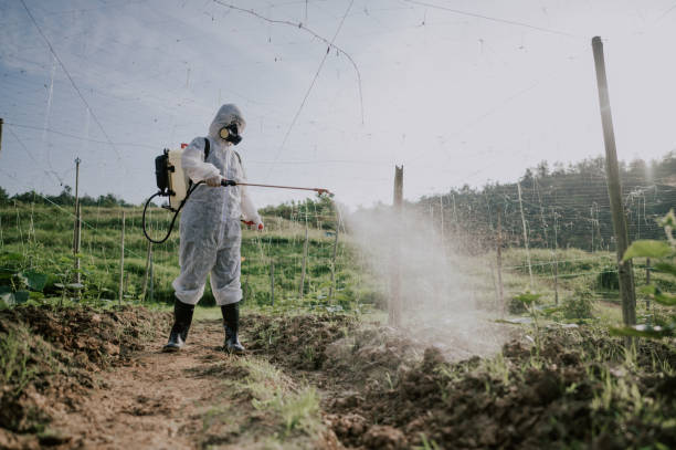 Best Mosquito Control Services  in Holiday Heights, NJ