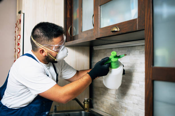 Best Wildlife Control Services  in Holiday Heights, NJ