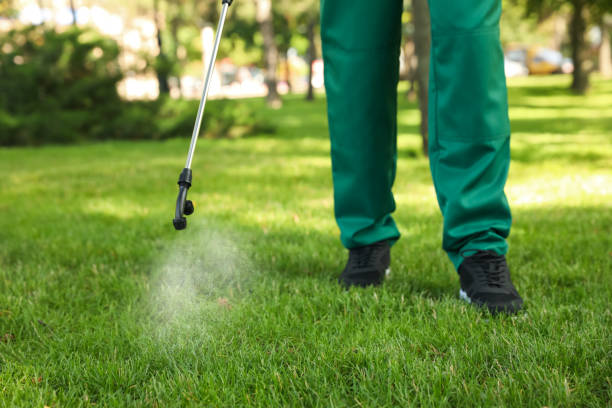 Best Residential Pest Control  in Holiday Heights, NJ