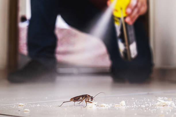 Best Bed Bug Extermination  in Holiday Heights, NJ