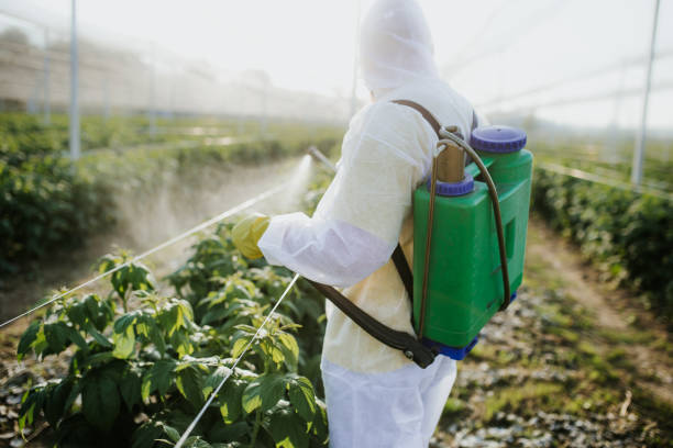 Best Affordable Pest Control Services  in Holiday Heights, NJ